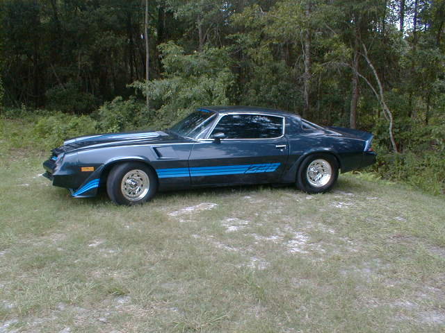 pic00019.jpg (89295 bytes)